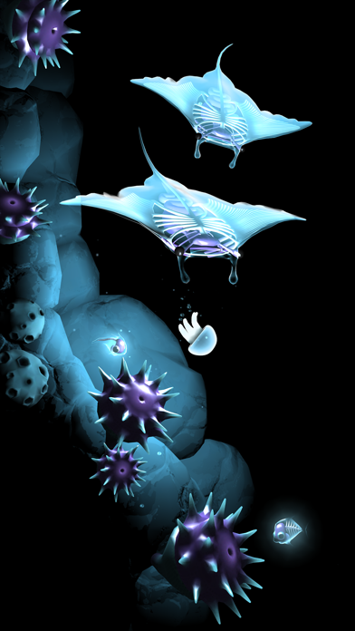 Seashine screenshot 2