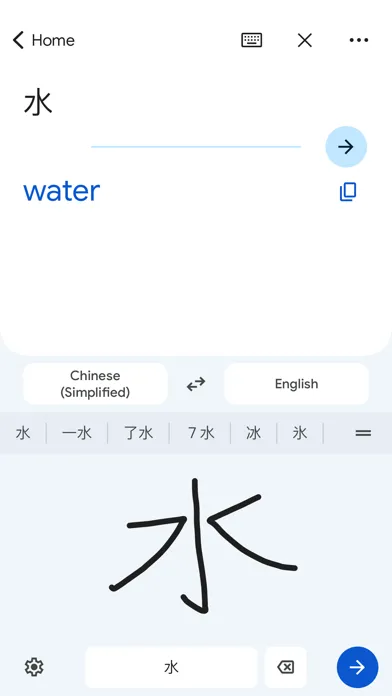 Google Translate screenshot 6