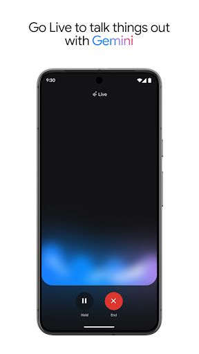 Google Gemini screenshot 2