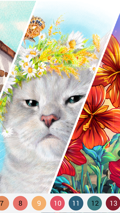 Haqqy Calor: Coloring Book screenshot 29