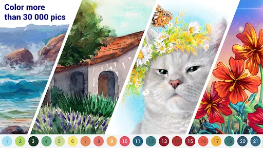 Haqqy Calor: Coloring Book screenshot 14