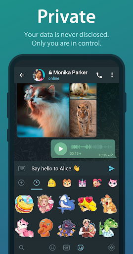 Telegram Messenger screenshot 11