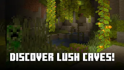 Minecraft screenshot 7