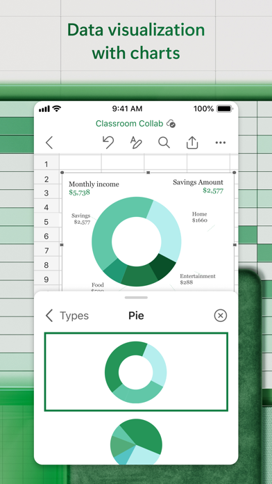 Microsoft Excel screenshot 5