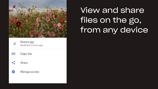 Dropbox: Cloud & Photo Storage screenshot 15