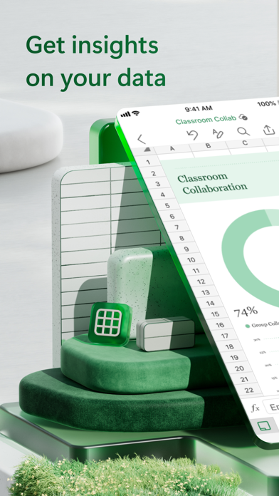 Microsoft Excel screenshot 1