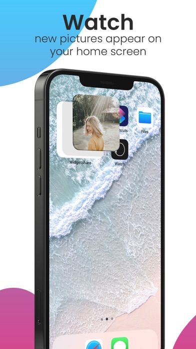 Widgetshare screenshot 3