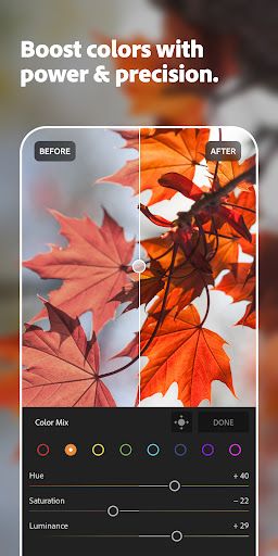 Lightroom Photo & Video Editor screenshot 15