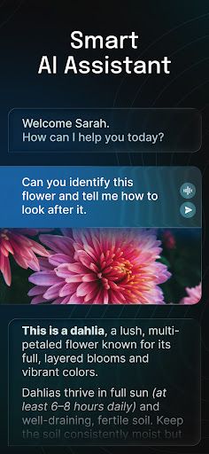 AI Chatbot - Nova screenshot 10