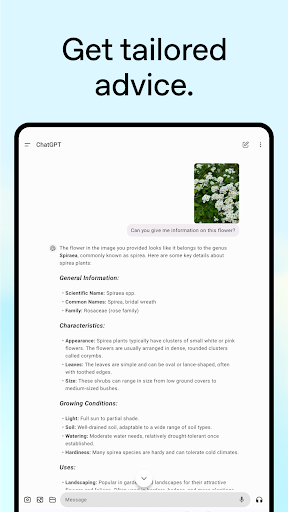 ChatGPT screenshot 17