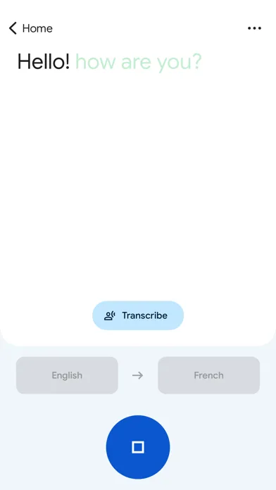 Google Translate screenshot 4