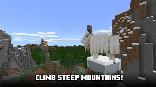 Minecraft screenshot 8