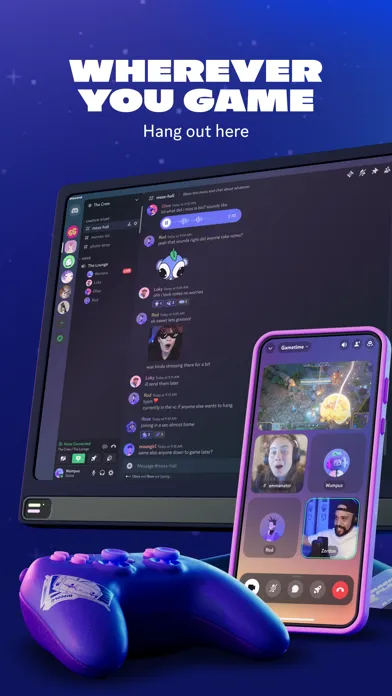 Discord screenshot 6