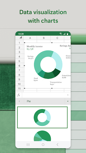 Microsoft Excel screenshot 11