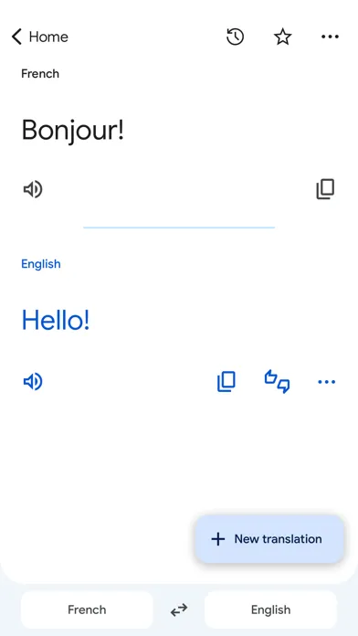 Google Translate screenshot 5