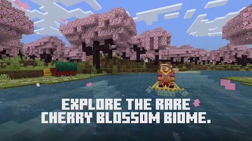 Minecraft screenshot 5