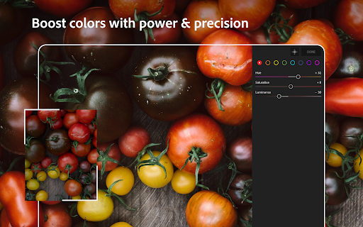 Lightroom Photo & Video Editor screenshot 31