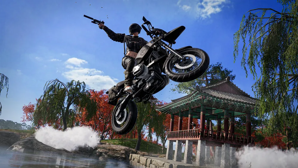 PUBG: BATTLEGROUNDS screenshot 7