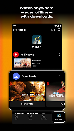 Netflix screenshot 9